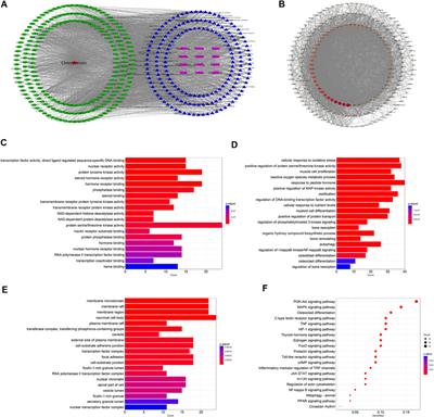 Network Pharmacology-Based Strategy for the Investigation of the Anti-Osteoporosis Effects and Underlying Mechanism of Zhuangguguanjie Formulation